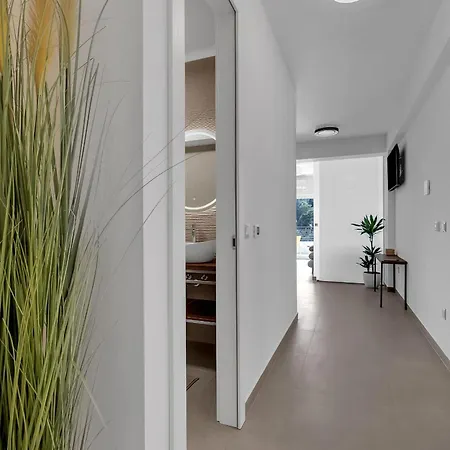 Luxury Wellness *